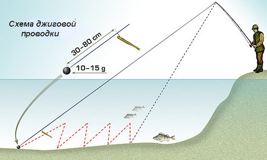 Ловля на джиг