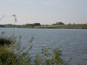 какая рыба водится в зуше орловская область. Смотреть фото какая рыба водится в зуше орловская область. Смотреть картинку какая рыба водится в зуше орловская область. Картинка про какая рыба водится в зуше орловская область. Фото какая рыба водится в зуше орловская область