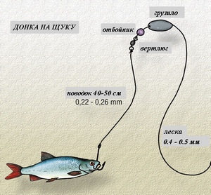 Оснастка донки на щуку